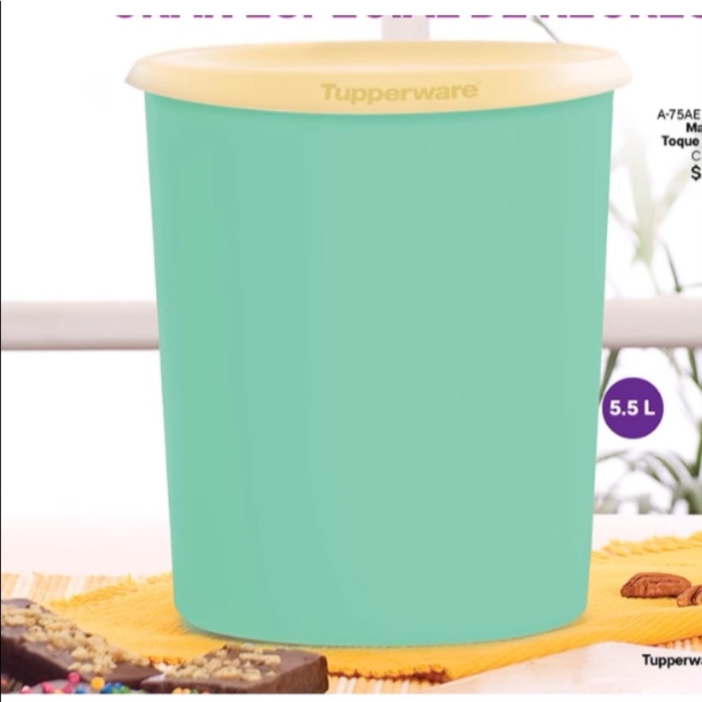 Tupperware One Touch Canister 5.5 Liter
